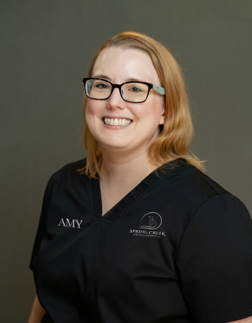 Amy Berger